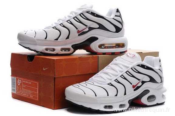 gros nike tn 2011 (3)